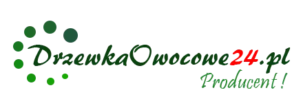 Drzewkaowocowe24 - Fruktträdsplantor
